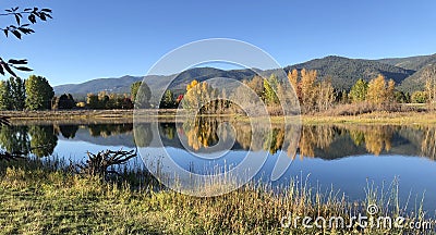 Glorious fall colors reflected on Frenchtown Pond yellow Stock Photo