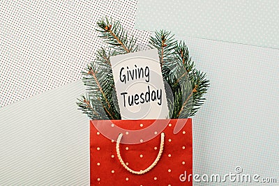 Giving Tuesday concept. Minimal flat lay with handwriting text Giving Tuesday in red gift bag and fir tree branches on pastel Stock Photo