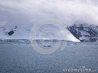 Glacier And Low Clouds Covering The Coastline Of Paradise Bay Stock Photo