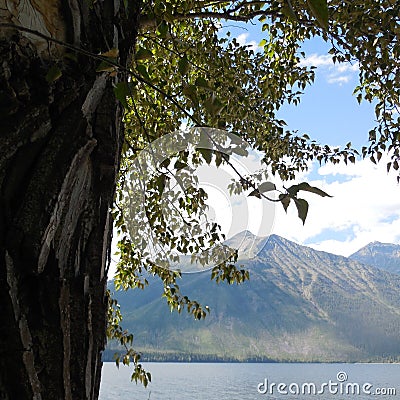 Glacier national park Stock Photo