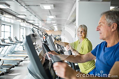 Glad senior lady training on stair stepper at gym with friend Stock Photo