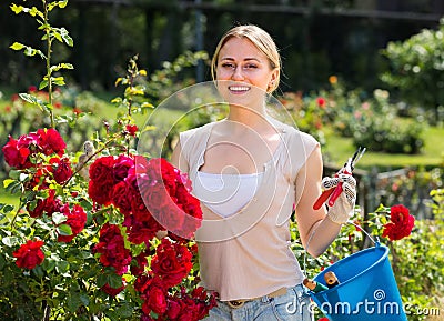 glad young woman working with bush roses with horticultural tools in garden Stock Photo