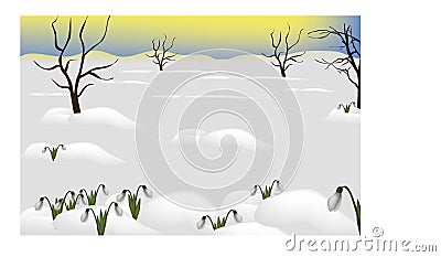 Glade with snowdrops among the show Vector Illustration