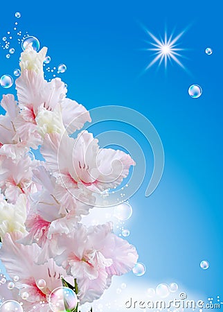 Gladiolus against the sky Stock Photo