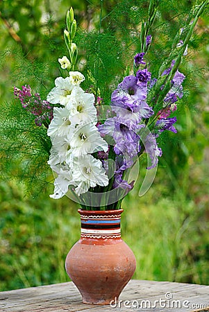 Gladiolus in vase Stock Photo