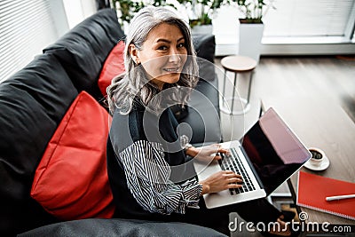 Gladsome woman working on the laptop stock photo Stock Photo