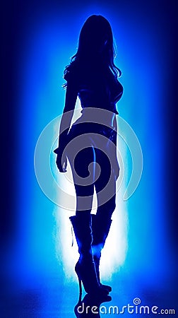 Glamorous Blue Vintage Fashion Ankle Boot Silhouettes in Modern Poster Art. Stock Photo