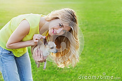 Glamour happy smiling girl or woman holding cute chihuahua puppy dog on green lawn on the sunset Stock Photo
