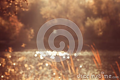 Glare from the sun on the water in the pond blurred picture of trees nature background Stock Photo