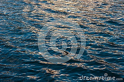 Glare on the surface of the water in the sea and the waves behind the sunset Editorial Stock Photo