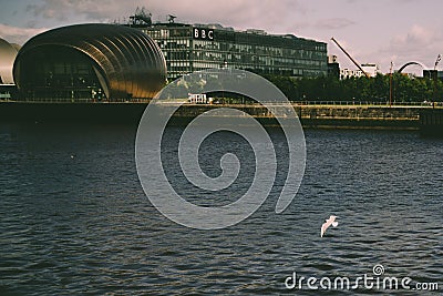 Glasgow IMAX Theatre with Seagull Editorial Stock Photo