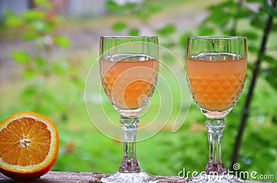 Glass of aperol spritz cocktail on a background of green foliage, selective focus Stock Photo