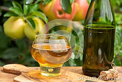 Glass of apple cider from Normandy, France and green apple tree with ripe red fruits on background Stock Photo