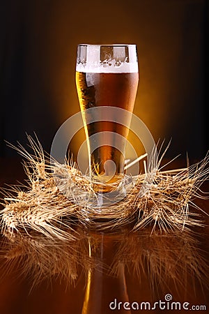 Glass of beer with barley ears Stock Photo