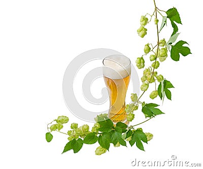 Glass of beer and branch of hops on light background Stock Photo