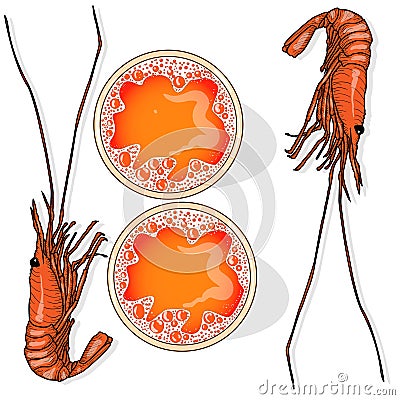 Glass of beer with shrimps vector illustration isolated on white Vector Illustration