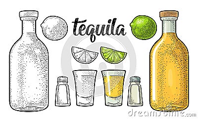 Glass and botlle of tequila. Cactus, salt, lime Vector Illustration