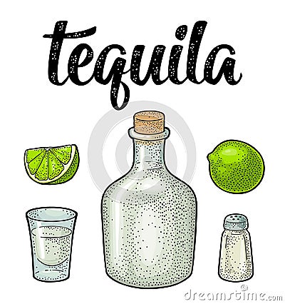 Glass and botlle of tequila. Cactus, salt, lime. Vintage engraving Vector Illustration