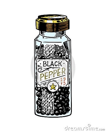 Glass bottle of Black pepper in Vintage style. Dried seeds, a bunch of spices. Allspice or peppercorn. Herbal seasoning Vector Illustration