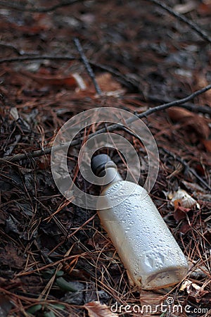 Glass Bottle in the forest. Trash or Garbage thrown in the forest. The problem of ecology and nature pollution. Stock Photo
