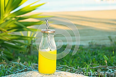 Glass Bottle with Freshly Pressed Tropical Fruits Juice Straw Standing on Rock at Beach. Green Palm Tree Leaves Succulents Stock Photo