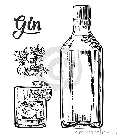 Glass and bottle of gin and branch of Juniper with berries Vector Illustration