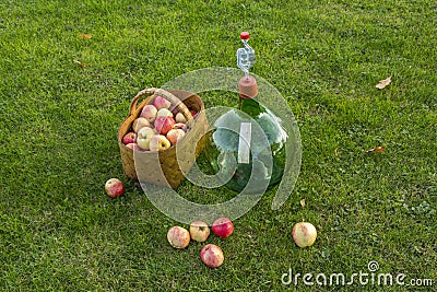 Ready for made home made wine Stock Photo