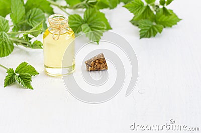 Glass bottle of nettle essential oil with fresh nettle twigs and leaves on white wooden background Stock Photo