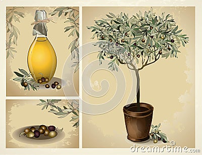 Glass bottle of premium virgin olive oil and some olives with leaves. Vector Illustration