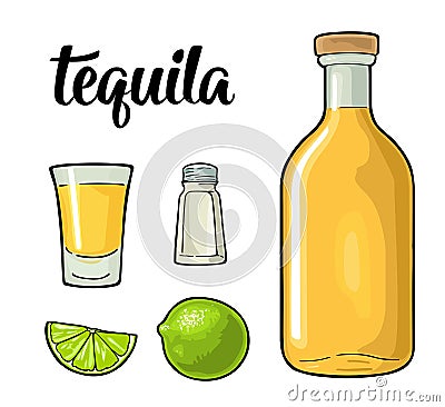 Glass and botlle of tequila. Cactus, salt, lime Vector Illustration