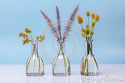 Glass bottles used as vase for grass, simple minimalist eco dÃ©cor Stock Photo