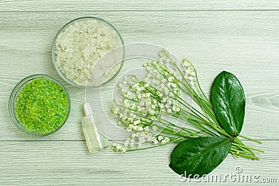 Glass bowls with sea salt, bottle with aromatic oil, green leave Stock Photo