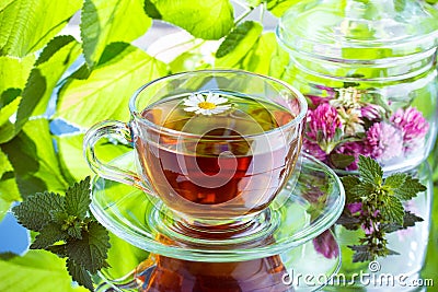 Glass of chamomile herbal tea Stock Photo