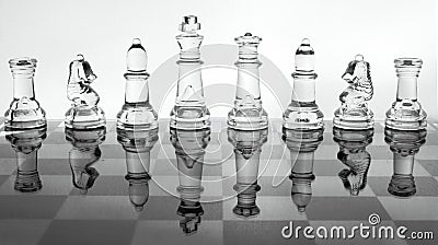 Glass chess Stock Photo