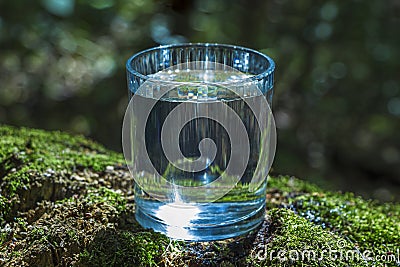 Glass of clean still water on tree stump with moss against green natural background. Spring ecologically pure water. World Water Stock Photo