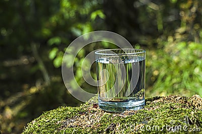 Glass of clean still water on tree stump with moss against green natural background. Spring ecologically pure water. World Water Stock Photo