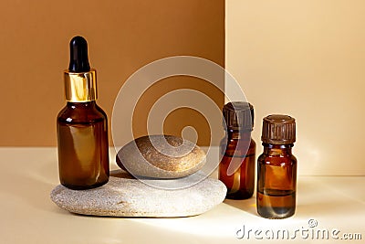 A glass cosmetic bottle with a dropper stands . Natural cosmetics concept, natural essential oil Stock Photo