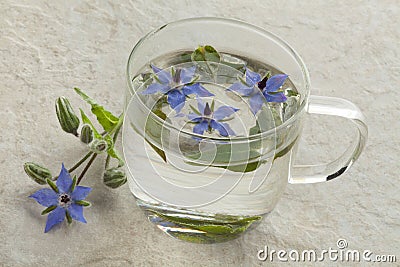 Glass cup with borage tea Stock Photo