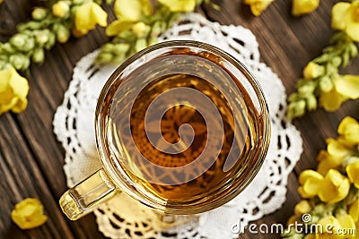 A glass cup of herbal tea with fresh mullein or Verbascum densiflorum flowers Stock Photo