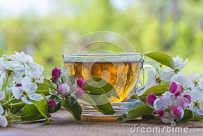 Glass cup of hot tea and apple and pear flowers Stock Photo