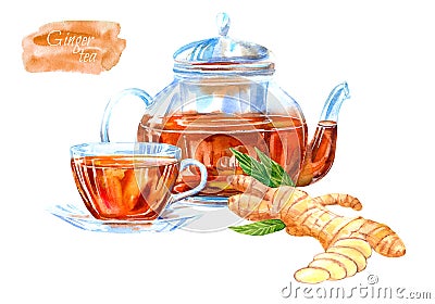 Glass cup and teapot of a ginger tea. Cartoon Illustration