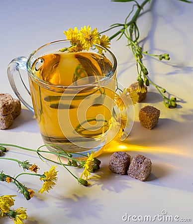 Glass of drink, tea, sugar cubes, yellow daisies on the table, still life Stock Photo