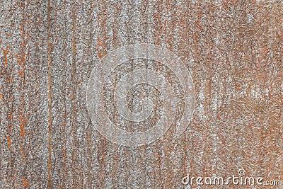 Glass fiber pattern background fiber slate material rough industrial abstract structure pattern texture surface Stock Photo