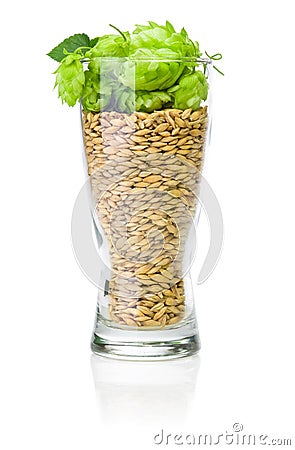 Glass of fresh beer with hops and ears of barley Stock Photo