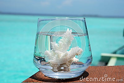 Glass full of sea Stock Photo