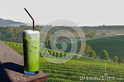 A glass of Green tea smoothies in the organic green tea planati Stock Photo