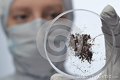 Glass with ground sample in consideration Stock Photo