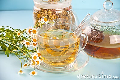 Glass of healthy herbal camomille tea. Naturopathy. Matricaria chamomilla Stock Photo