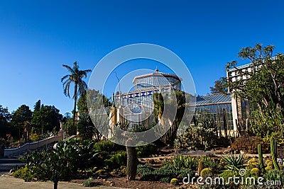 Glass house in the Adelaide Botanic garden Editorial Stock Photo