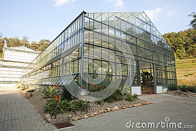 Glass house plantation Stock Photo